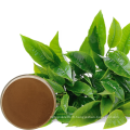 NATUREL 98% TEA POLYPHENOL GREEN THE EXTRAIT